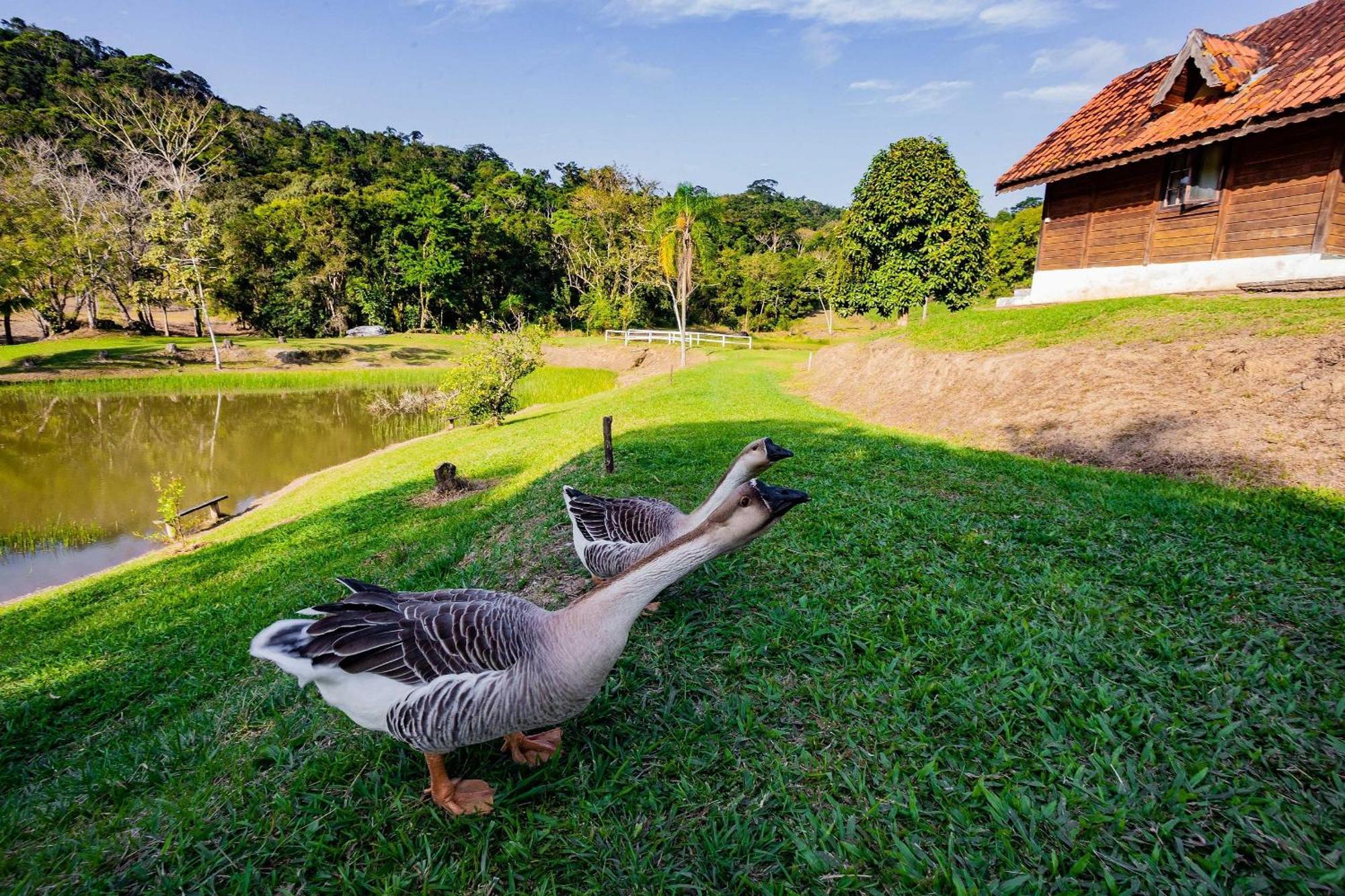 Recanto Das Aguas - Chales No Meio Da Mata Atlantica Eldorado Esterno foto