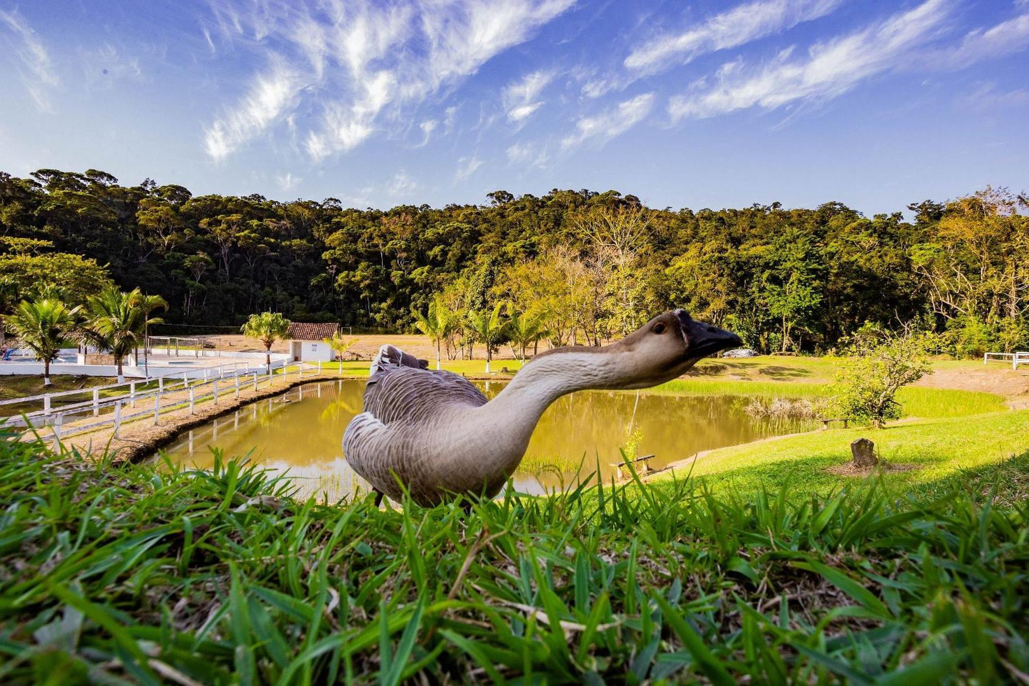 Recanto Das Aguas - Chales No Meio Da Mata Atlantica Eldorado Esterno foto